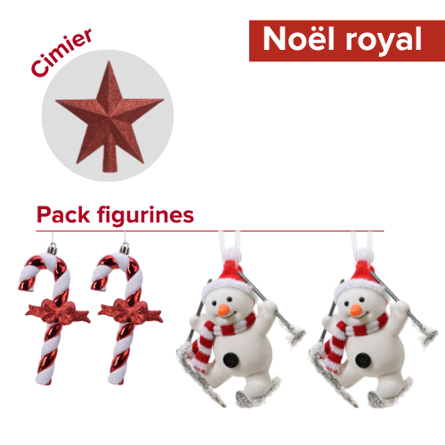 FR Ambius Noelle12